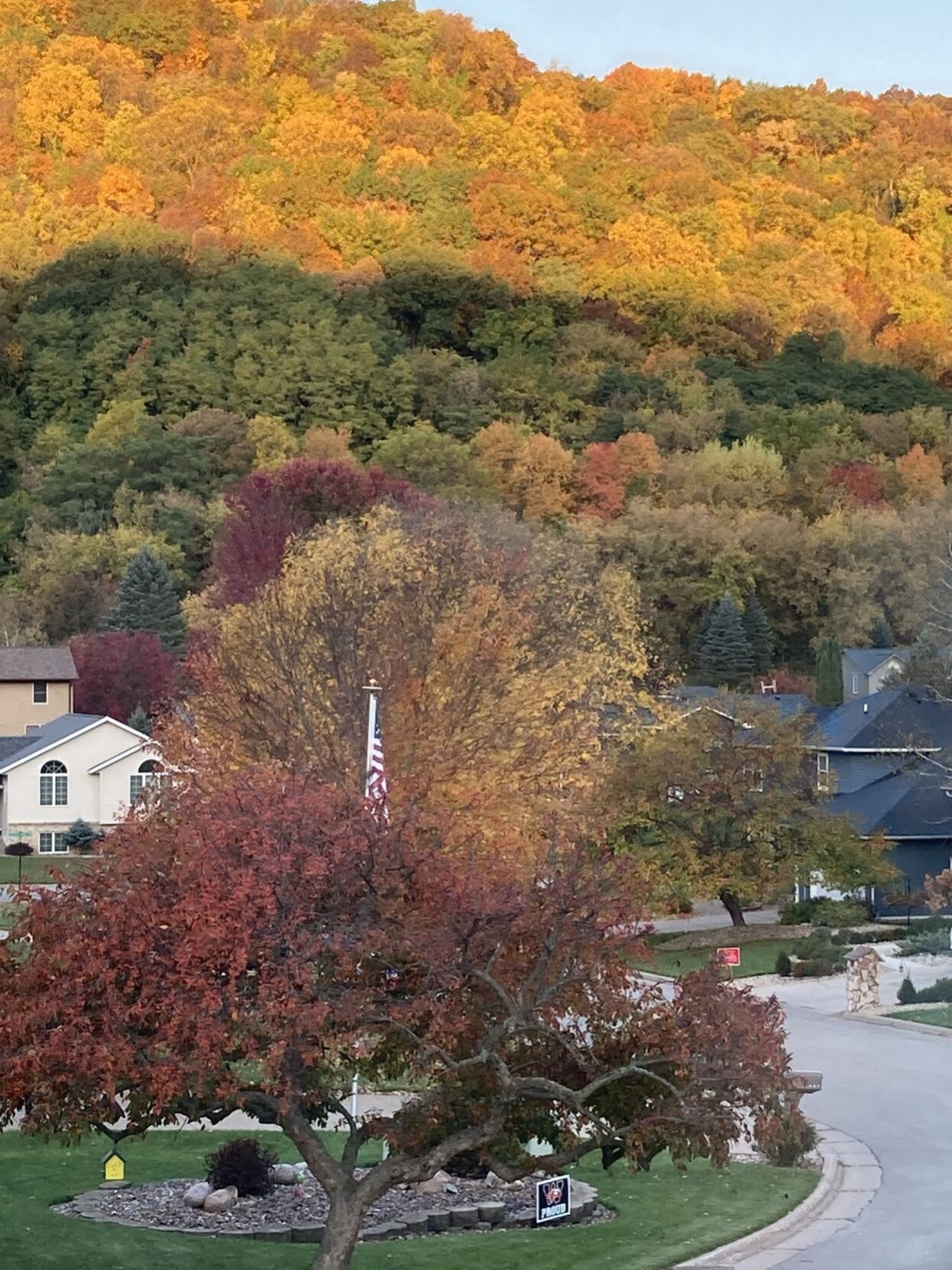 Golden valley